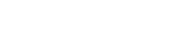 Webster logo